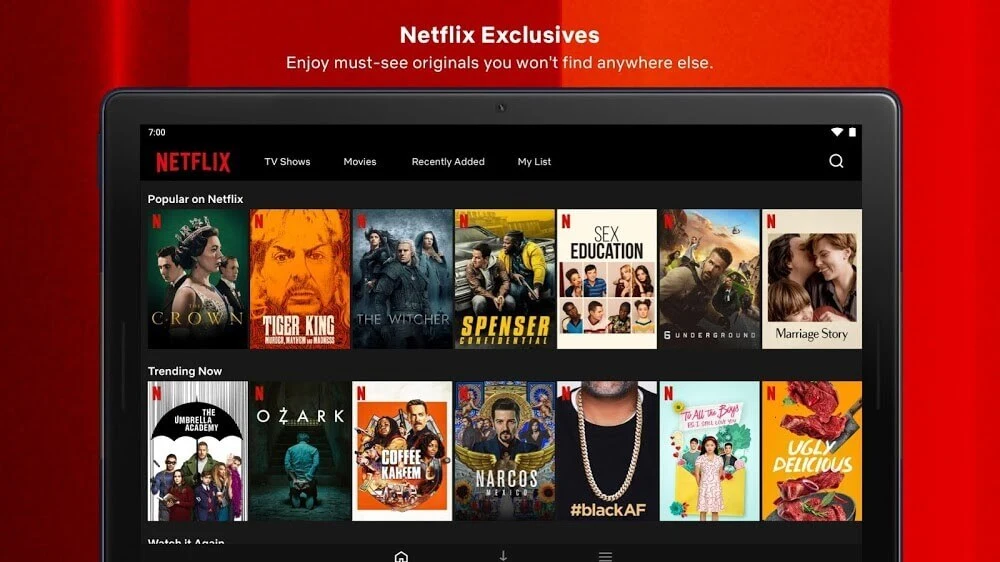 Introduction of Netflix