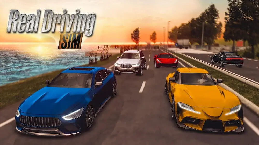 Extensive Collection of Vehicles