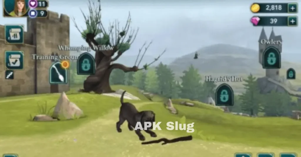 Level Up Your Attributes