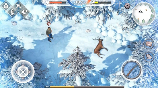 Multiplayer mode